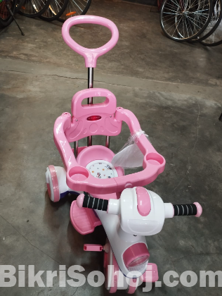 Royal Rider Shield (ঘেরা রিকশা)